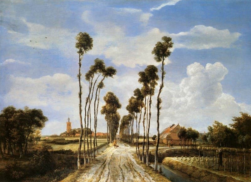 The Avenue at Middelharnis